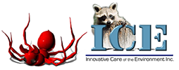 ICE - Innovative Care of the Environment